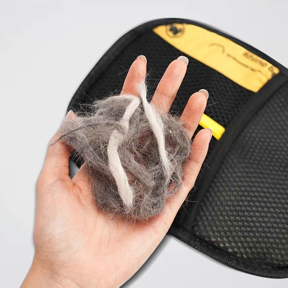 Gant antipoils Cleany Pet